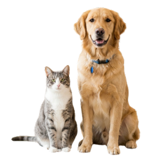 Pricing illustration